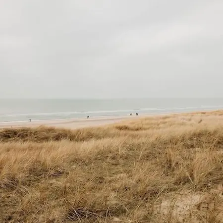 Etoile31 Seaside Egmond aan Zee