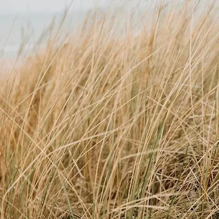 Apartman Etoile31 Seaside Egmond aan Zee