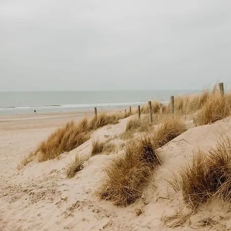 Etoile31 Seaside Appartement Egmond aan Zee