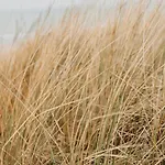 Apartment Etoile31 Seaside Egmond aan Zee