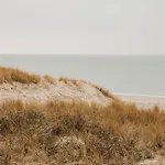 Etoile31 Seaside * Egmond aan Zee