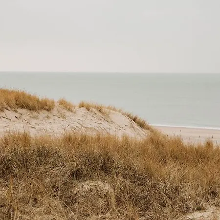 Etoile31 Seaside * Egmond aan Zee