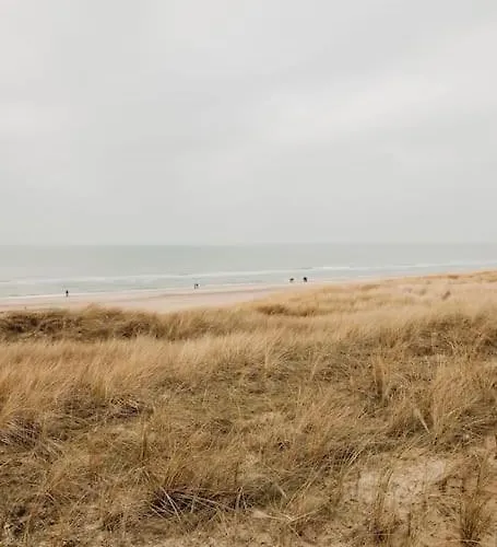 Etoile31 Seaside Egmond aan Zee