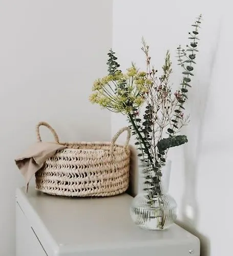 Etoile31 Seaside * Egmond aan Zee