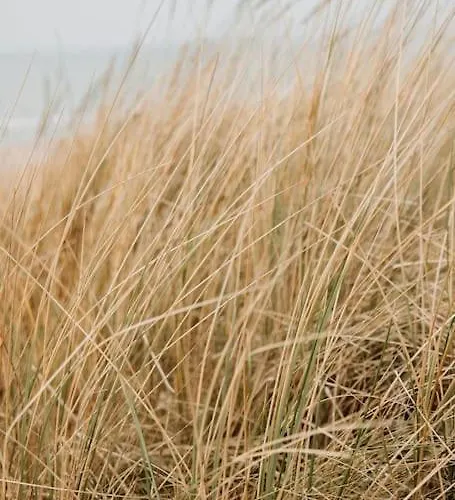 Apartmán Etoile31 Seaside Egmond aan Zee