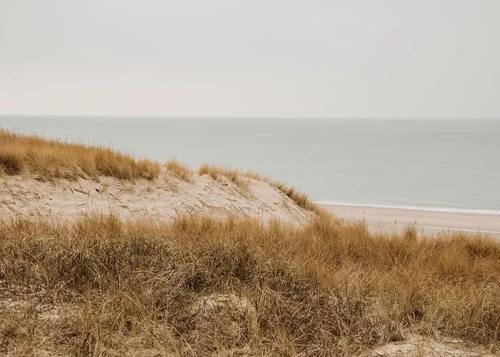 Etoile31 Seaside * Egmond aan Zee